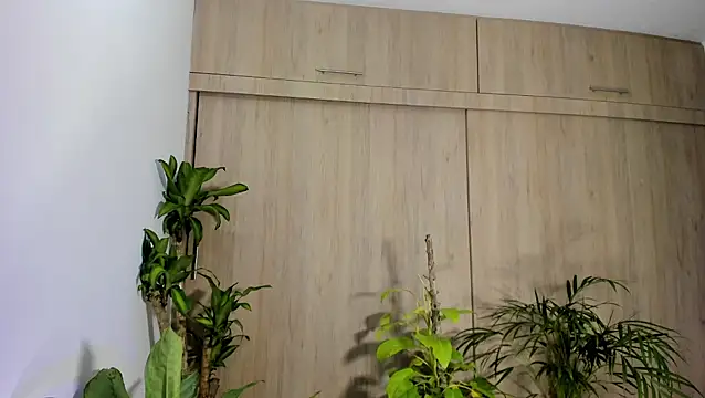 filletatouee online show from 18, 11, 2025