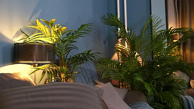  keeti  online show from 10, 10, 2025