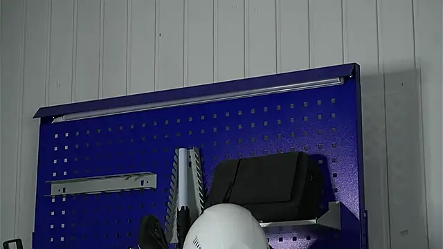 dustyn fox online show from 5, 3, 2026