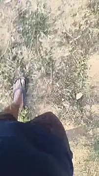 lustboyX online show from 3, 4, 2026