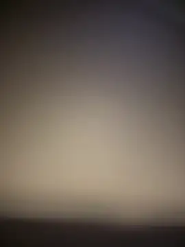 ThicBunz online show from 1, 3, 2026