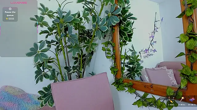 ShegoBlake online show from 3, 3, 2026