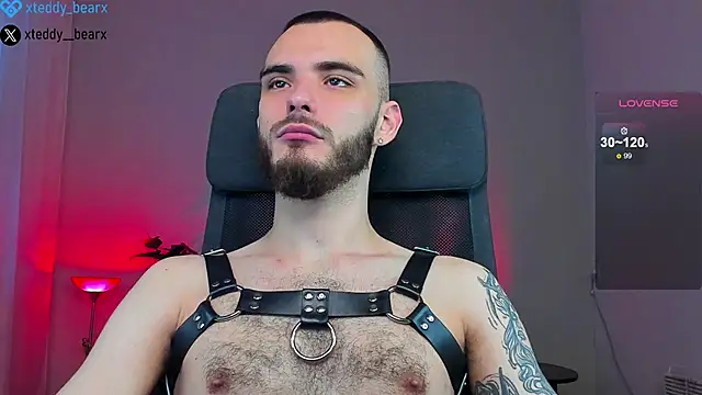 Snapshot of xteddy_bear chatting on 18, 1, 2025 xteddy bear online show from 18, 1, 2025