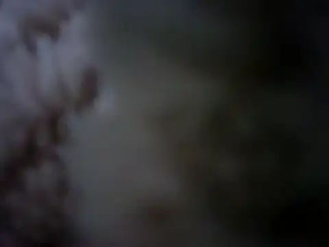 07YUKIO online show from 24, 1, 2025