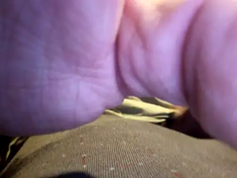 Snapshot of stavroun chatting on 23, 12, 2025 stavroun online show from 23, 12, 2025