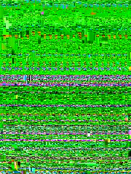 cardibabe online show from 26, 10, 2025