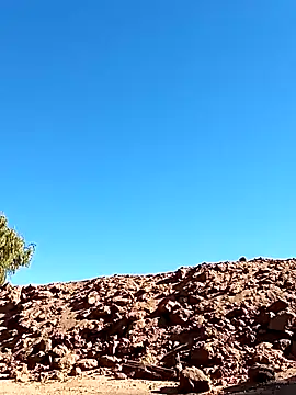 luke thighwalker2469 online show from 13, 1, 2025