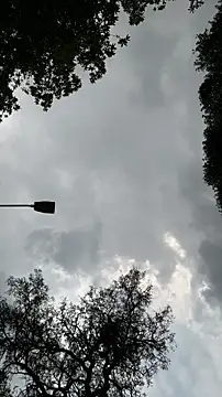 Siriss boyrag online show from 27, 4, 2026