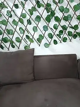 Bold-Cat online show from 17, 11, 2025