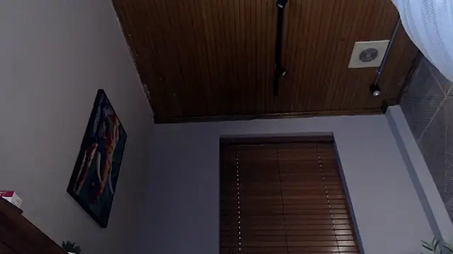 Snapshot of Ian_Daviz chatting on 11, 2, 2025 Ian Daviz online show from 11, 2, 2025