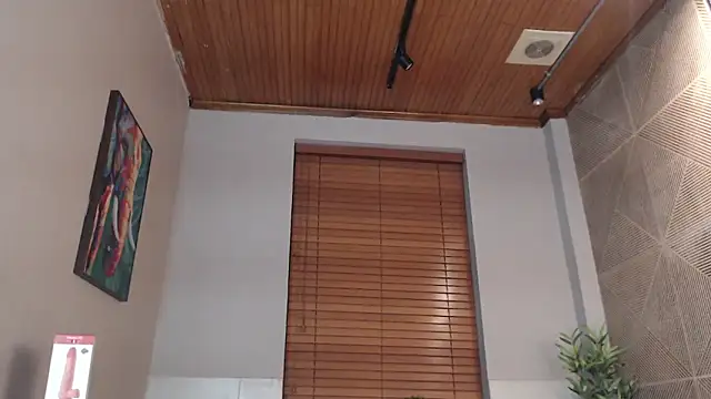 Snapshot of Ian_Daviz chatting on 24, 2, 2025 Ian Daviz online show from 24, 2, 2025