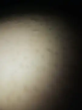 Snapshot of Gostosooooooooooso chatting on 27, 5, 2026 Gostosooooooooooso online show from 27, 5, 2026