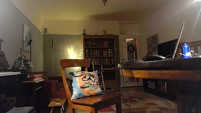 Snapshot of RolfS chatting on 17, 12, 2025 RolfS online show from 17, 12, 2025