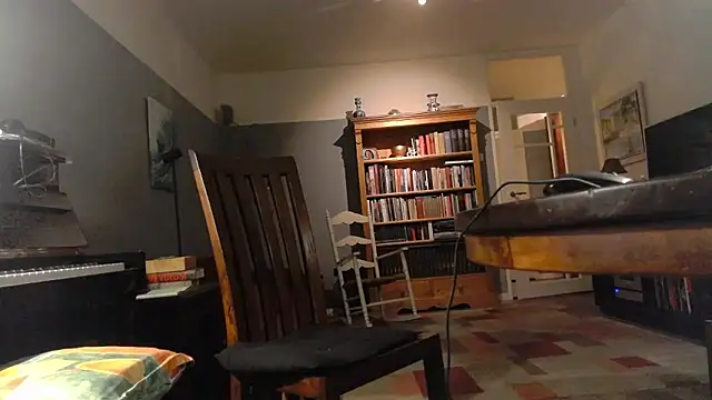 Snapshot of RolfS chatting on 11, 1, 2026 RolfS online show from 11, 1, 2026