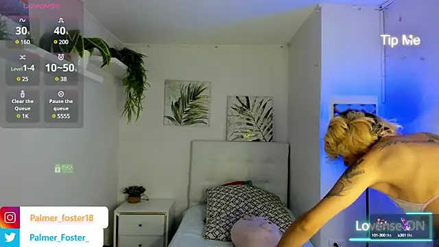 Palmer-Foster online show from 4, 3, 2025