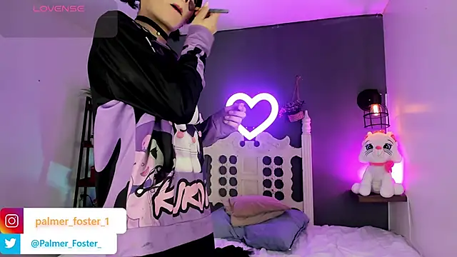 Palmer-Foster online show from 3, 10, 2025