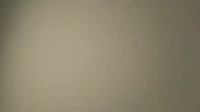 Sophia Cambpell online show from 5, 6, 2026
