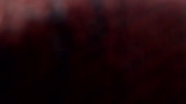 1BECHA1 online show from 5, 3, 2026