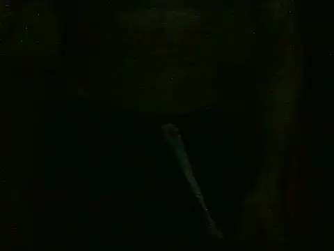 dangerman94 online show from 22, 10, 2025