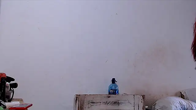 SusiDream online show from 14, 3, 2026