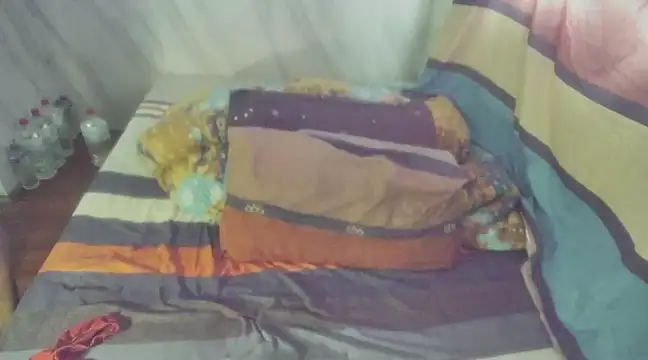 bbhiShark online show from 27, 2, 2025