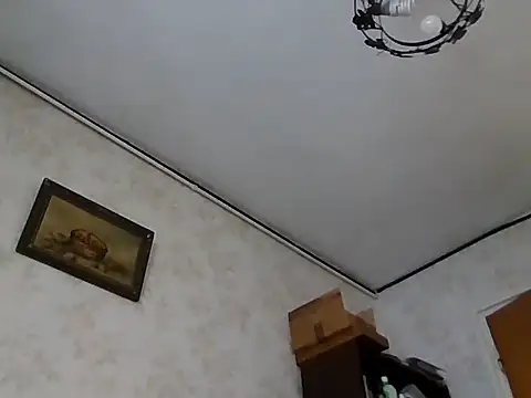 mariusica1xh online show from 1, 11, 2025