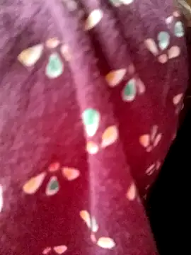 Beautyy38 online show from 5, 3, 2025