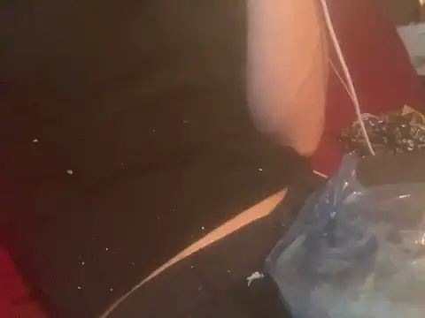 Snapshot of skatebored chatting on 26, 1, 2025 skatebored online show from 26, 1, 2025