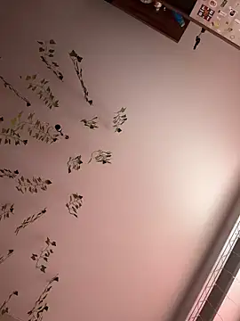 -Sexy Barbie- online show from 7, 3, 2025