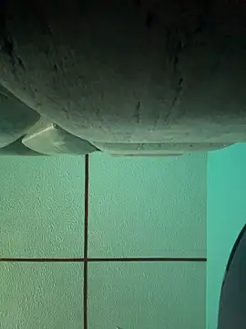 Snapshot of dulce_celeste15 chatting on 15, 11, 2025 dulce celeste15 online show from 15, 11, 2025