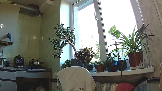 BroadFantasy online show from 11, 9, 2025