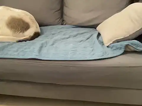 4small4inchlol online show from 27, 4, 2026