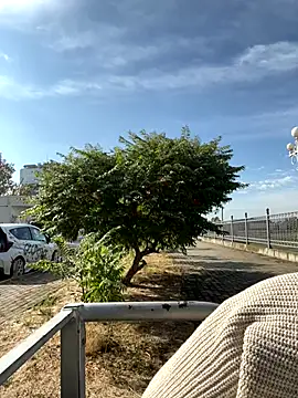 SandraCarter online show from 18, 9, 2025