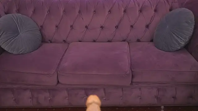 Daisy Delight online show from 4, 3, 2025