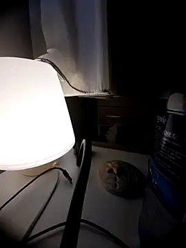 Snapshot of bluangelo chatting on 8, 3, 2026 bluangelo online show from 8, 3, 2026