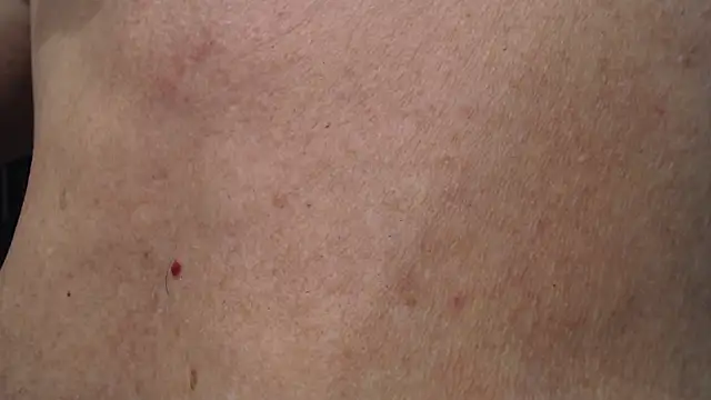 Toy-Daddy online show from 20, 11, 2025