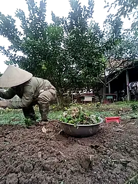 Fuckmehard2xx online show from 23, 2, 2025