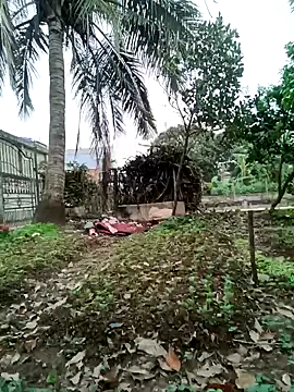 Fuckmehard2xx online show from 9, 3, 2025