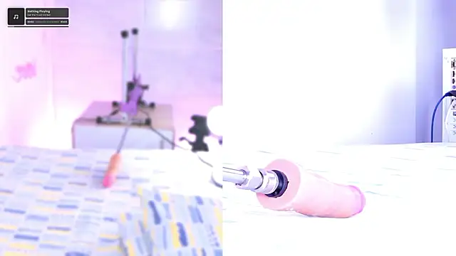 pamela cm online show from 28, 2, 2026