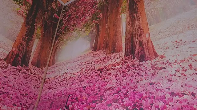 Wet nympho online show from 3, 5, 2026