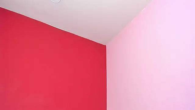 Kate bunny  online show from 24, 4, 2026