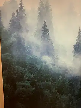 ladoucedu34 online show from 12, 1, 2026