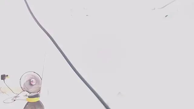 jhon tomson1 online show from 15, 2, 2025