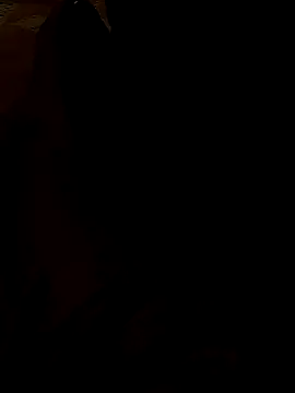 whvysky3 online show from 23, 1, 2025