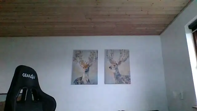 Snapshot of Gotta1 chatting on 19, 1, 2025 Gotta1 online show from 19, 1, 2025