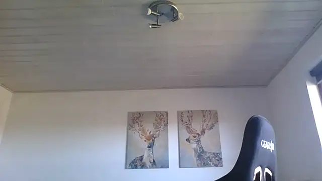 Gotta1 online show from 24, 4, 2026