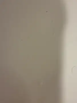 Snapshot of Serkan3356 chatting on 9, 2, 2026 Serkan3356 online show from 9, 2, 2026