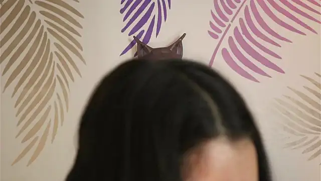 Sweet Sammy  online show from 28, 4, 2026