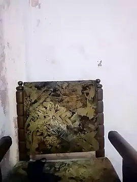 Bulbul 02 online show from 5, 3, 2025