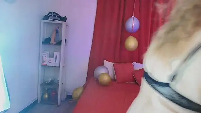 girl amada online show from 10, 2, 2026